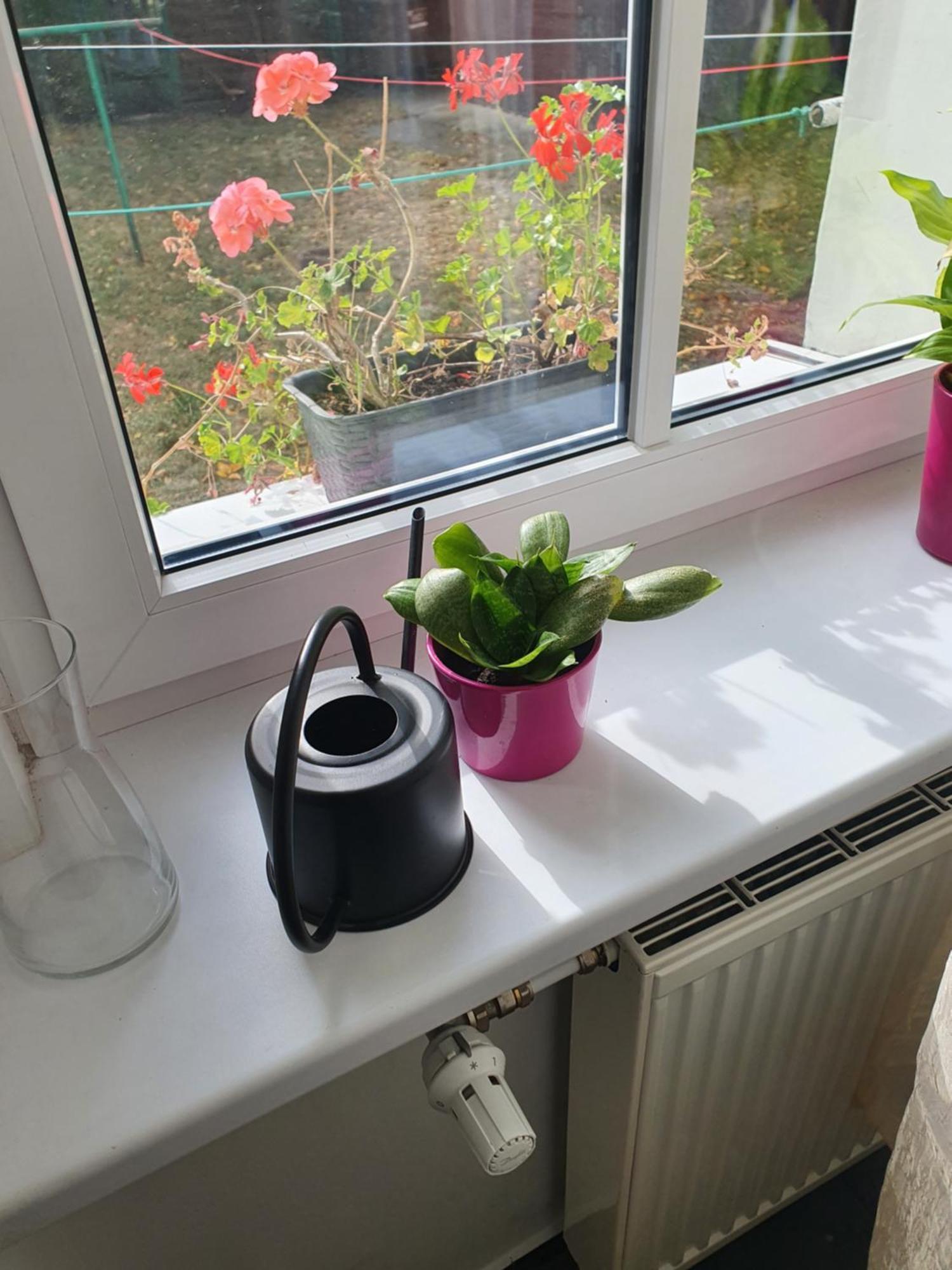 Ferienwohnung Kamienica Nowodworska 30 Bromberg Zimmer foto