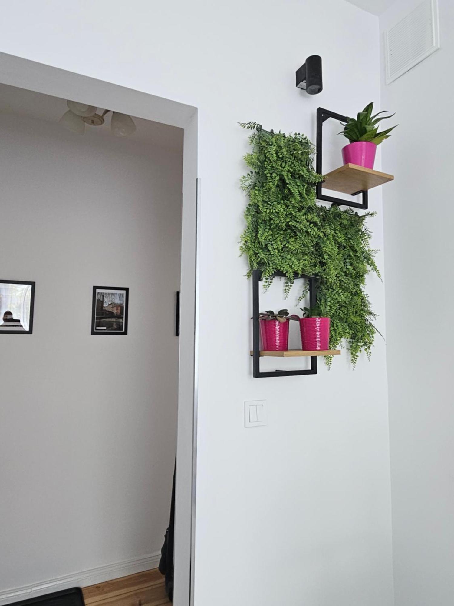 Ferienwohnung Kamienica Nowodworska 30 Bromberg Zimmer foto